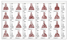 Load image into Gallery viewer, FALSE