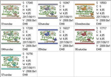 Load image into Gallery viewer, FALSE