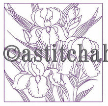 Load image into Gallery viewer, FALSE