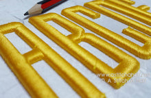 Load image into Gallery viewer, FALSE