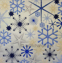 Load image into Gallery viewer, FALSE