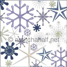 Load image into Gallery viewer, FALSE