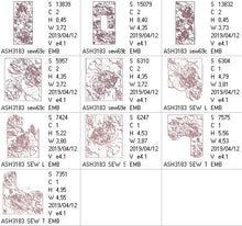 Load image into Gallery viewer, FALSE
