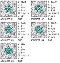 Load image into Gallery viewer, FALSE