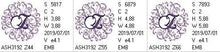Load image into Gallery viewer, Regal Curls Monogram Letters Z