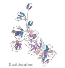 Load image into Gallery viewer, FALSE