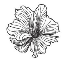 Load image into Gallery viewer, Wrinkle and Crinkle Petals Seamless Quilt Combo