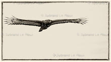 Load image into Gallery viewer, Majestic Crowned Eagles