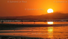 Load image into Gallery viewer, FALSE