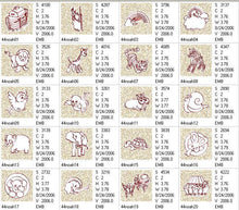 Load image into Gallery viewer, FALSE