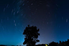 Load image into Gallery viewer, Natures Valley 13