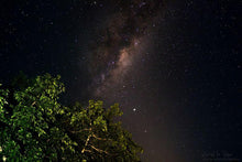 Load image into Gallery viewer, Natures Valley 15