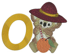 Load image into Gallery viewer, Fuzzy Alphabet Combo