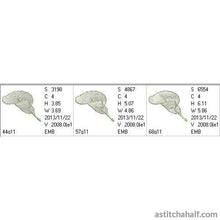 Load image into Gallery viewer, FALSE