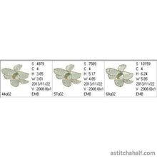 Load image into Gallery viewer, FALSE