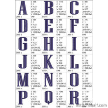 Load image into Gallery viewer, FALSE