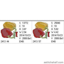 Load image into Gallery viewer, FALSE