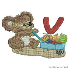 Load image into Gallery viewer, FALSE