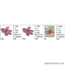 Load image into Gallery viewer, FALSE