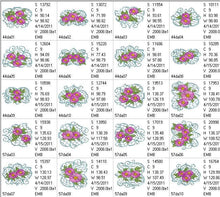 Load image into Gallery viewer, Quilt with Daisies Combo