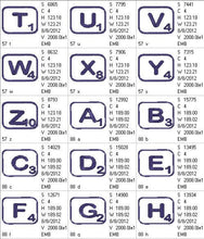 Load image into Gallery viewer, FALSE