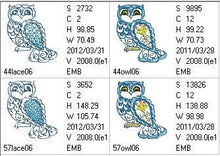 Load image into Gallery viewer, FALSE