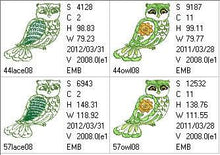 Load image into Gallery viewer, FALSE