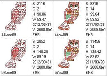 Load image into Gallery viewer, FALSE