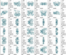 Load image into Gallery viewer, Butterfly Dance Combo