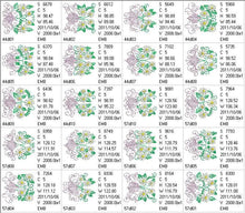 Load image into Gallery viewer, FALSE