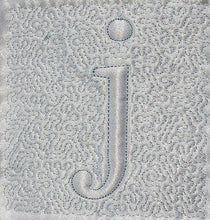 Load image into Gallery viewer, Trapunto Educational Quilt 02