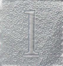 Load image into Gallery viewer, Trapunto Educational Quilt 02