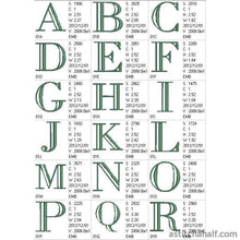 Load image into Gallery viewer, FALSE