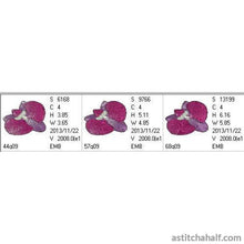 Load image into Gallery viewer, FALSE