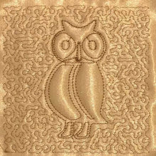 Load image into Gallery viewer, Trapunto Educational Quilt 03