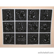 Load image into Gallery viewer, FALSE