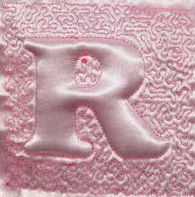 Load image into Gallery viewer, Trapunto Educational Quilt 01