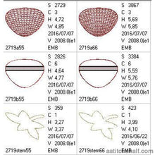 Load image into Gallery viewer, FALSE