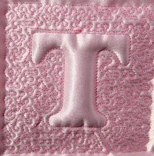 Load image into Gallery viewer, Trapunto Educational Quilt 01