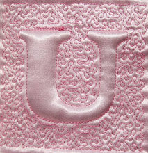 Load image into Gallery viewer, Trapunto Educational Quilt 01