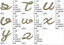 Load image into Gallery viewer, FALSE
