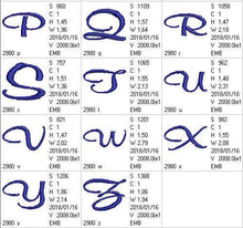 Load image into Gallery viewer, FALSE
