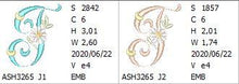 Load image into Gallery viewer, Summer Dance Monogram Letter J
