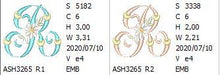 Load image into Gallery viewer, Summer Dance Monogram Letter R
