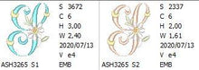 Load image into Gallery viewer, Summer Dance Monogram Letter S
