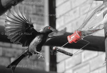 Load image into Gallery viewer, The Juice Bottle
