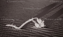 Load image into Gallery viewer, Kalahari Desert Dune
