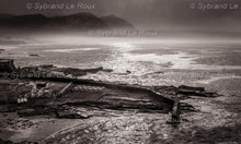 Load image into Gallery viewer, Mist in the Bay
