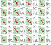 Load image into Gallery viewer, Royal Embellishment Trapunto
