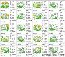 Load image into Gallery viewer, Dandelion in Bloom Combo
